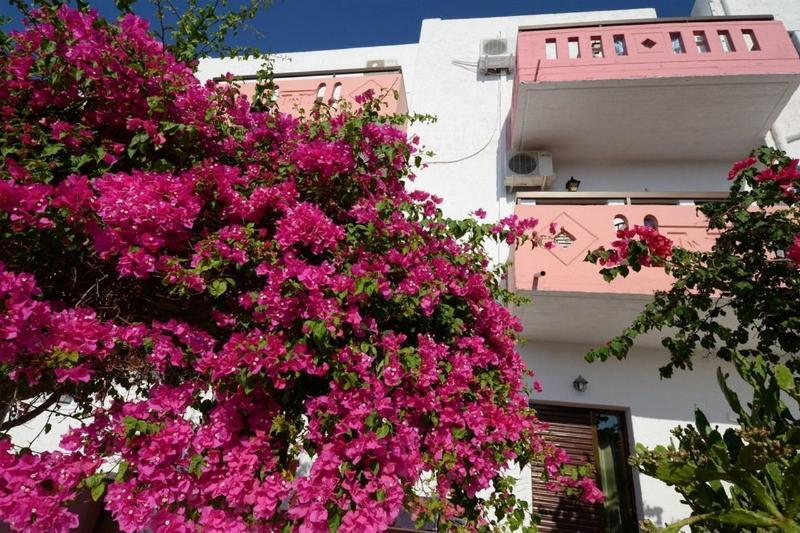 Apokoros Craft Deco Apartments&Studios Kalyves Exterior photo